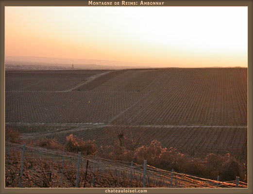 Champagne: La Montagne de Reims