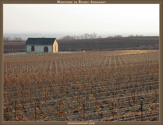 Champagne: La Montagne de Reims