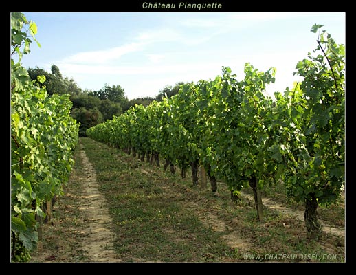 Château Planquette