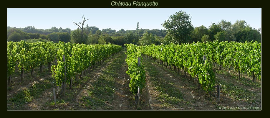 Château Planquette