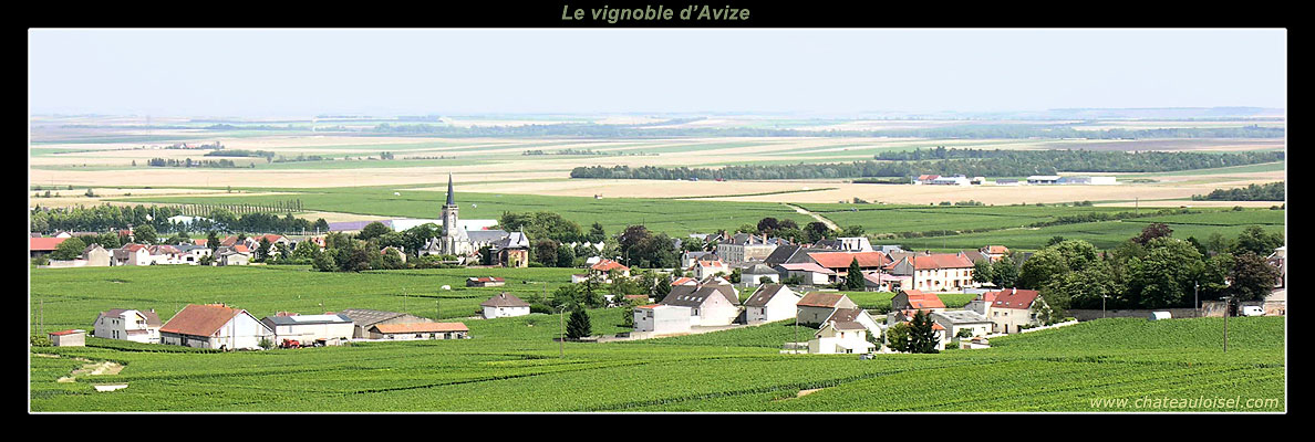 Champagne Jacques Selosse