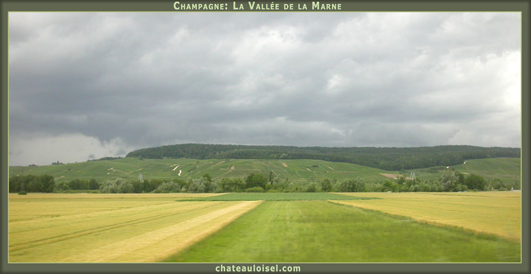 Terroirs de Champagne