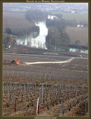 Champagne: La Vallée de la Marne