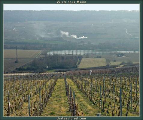 Champagne: La Vallée de la Marne