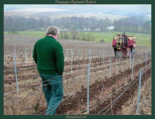 Champagne: La Vallée de la Marne