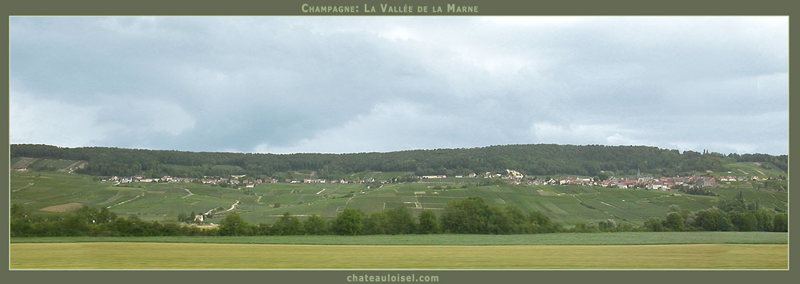 Terroirs de Champagne