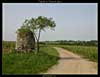 Vignes des Coteaux du Layon