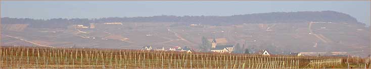 Champagne: Le Mesnil-sur-Oger