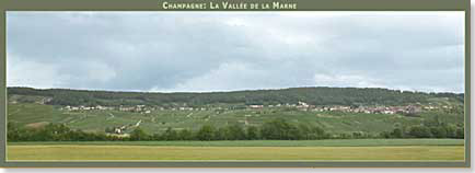 Vignoble de la Vallée de la Marne