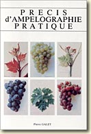 Couverture Précis d'ampélographie pratique de Pierre Galet