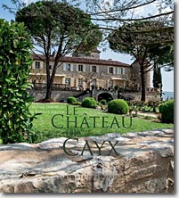 Couverture Le Château de Cayx de Olivier Lesenecal & Jean-Baptiste Leroux