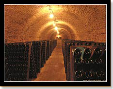 Caves Champagne Selosse