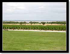 Vue sur la Gironde depuis le Chateau Sociando-Mallet