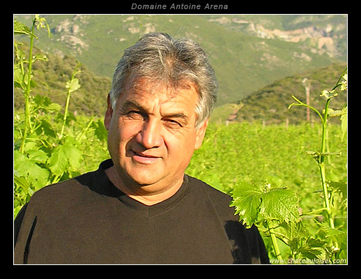 Domaine Antoine Arena