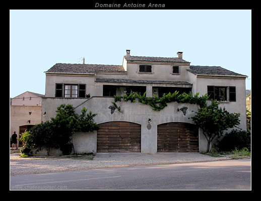 Domaine Antoine Arena