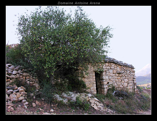 Domaine Antoine Arena