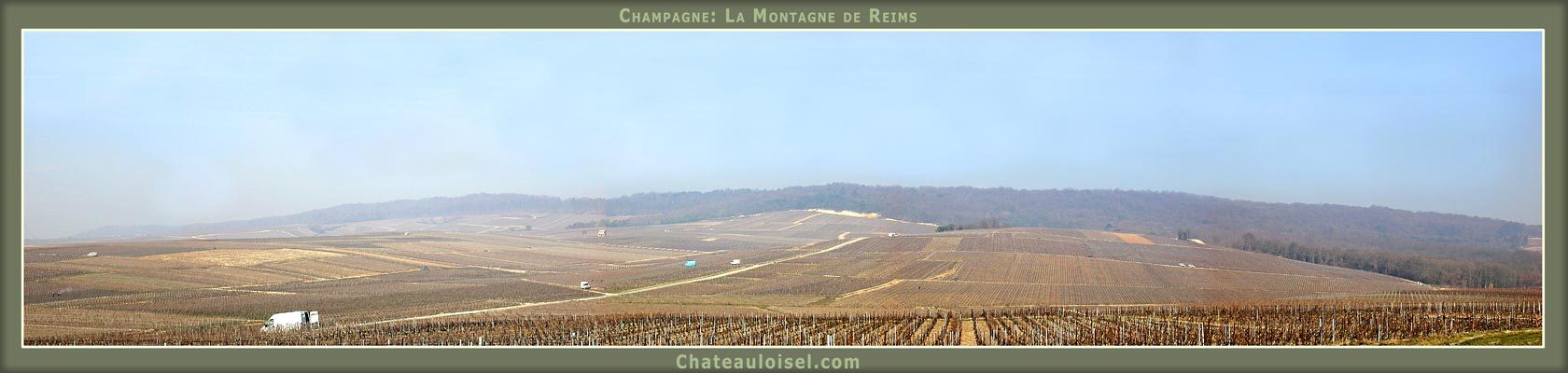 Champagne: La Montagne de Reims