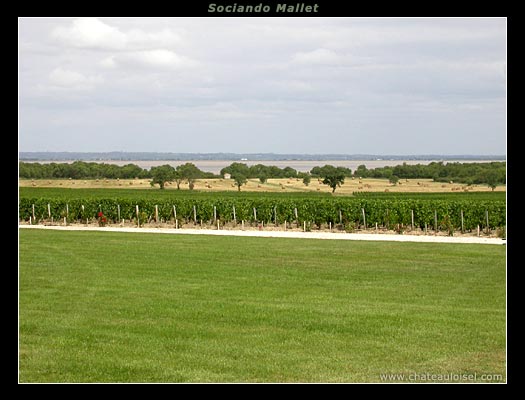 Château Sociando-Mallet