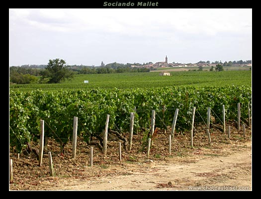 Château Sociando-Mallet